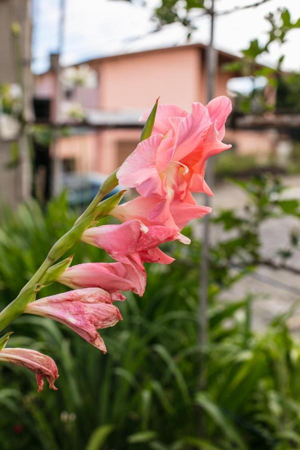 Hotel Pousada Casa Tasca Bento Gonçalves Zewnętrze zdjęcie